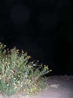 Ruth's Graduation Party - 41 